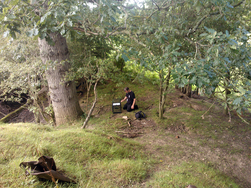 Trevor setting up the badger trap