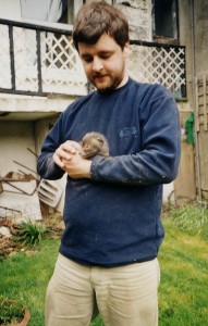 Fox cub resced from under floor boards at Hastings 2002