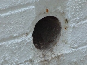 Drainage hole in wall where hedgehog was living(s)