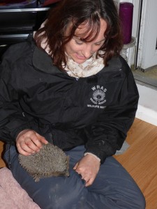 Kathy with the rescued hedgehog