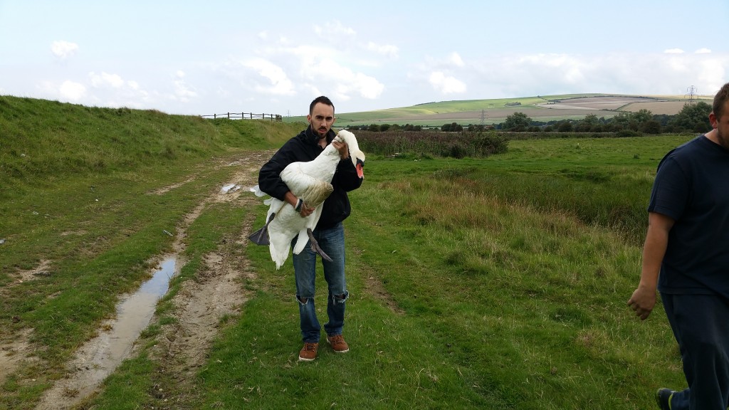 Chris carrying Newhaven Swan 9th Sept 2015 (2)
